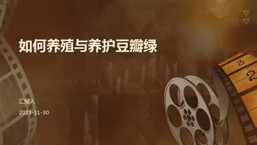 如何养殖与养护豆瓣绿