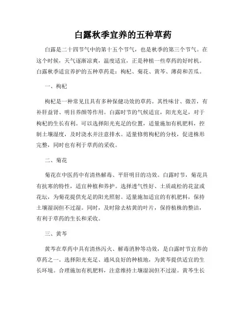 白露秋季宜养的五种草药