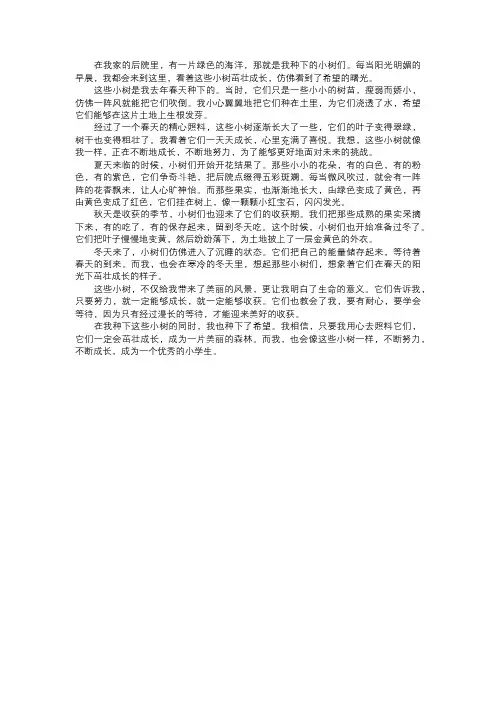 我种下的小树