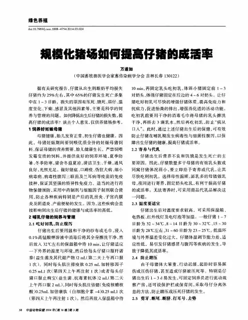 规模化猪场如何提高仔猪的成活率