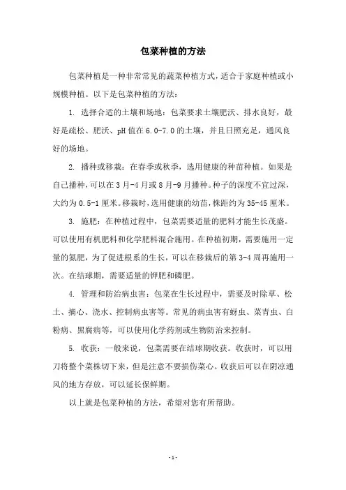 包菜种植的方法