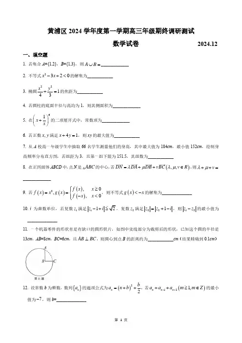2025届上海黄浦区高考数学一模试卷及答案