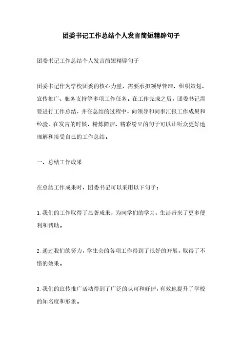 团委书记工作总结个人发言简短精辟句子