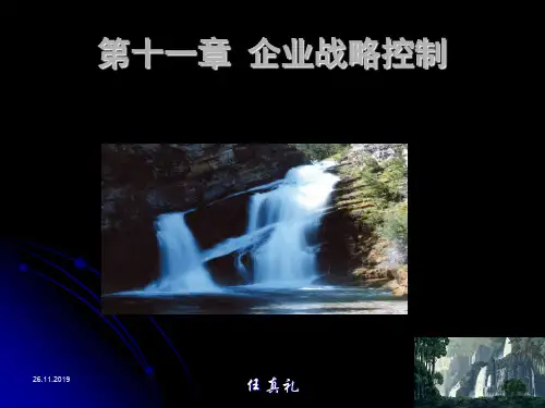 企业战略控制概述(ppt 17页)