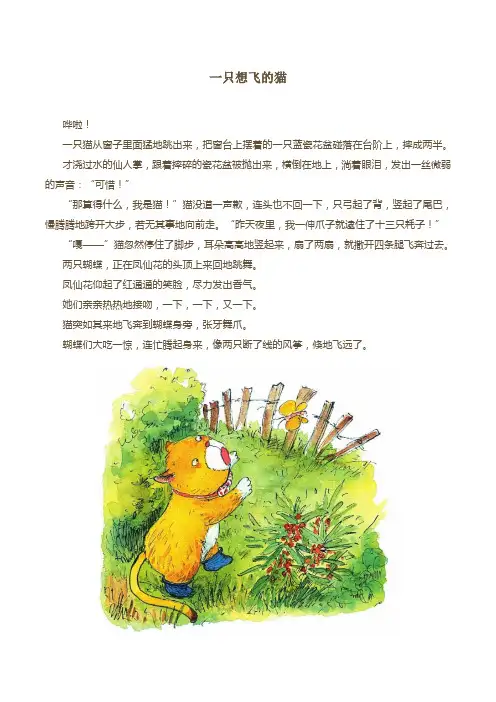 一只想飞的猫