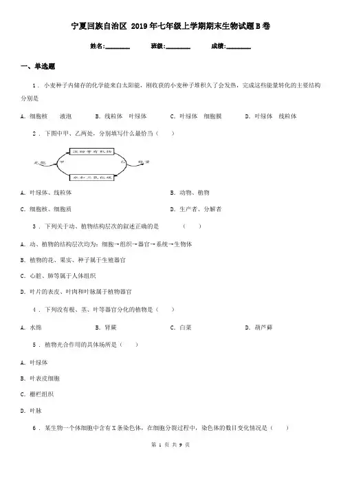 宁夏回族自治区 2019年七年级上学期期末生物试题B卷