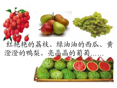 人教版七年级生物下册4.6.4激素调节 (共26张PPT)