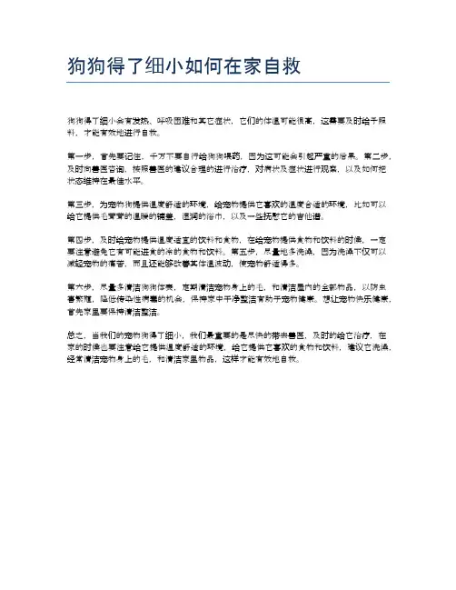 狗狗得了细小如何在家自救