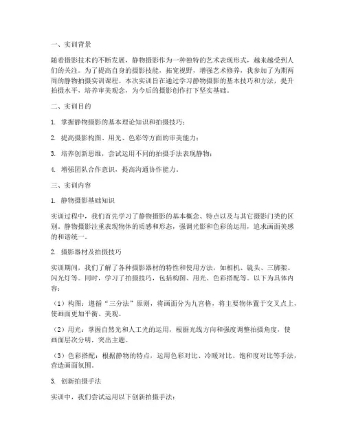 大学生静物拍摄实训报告