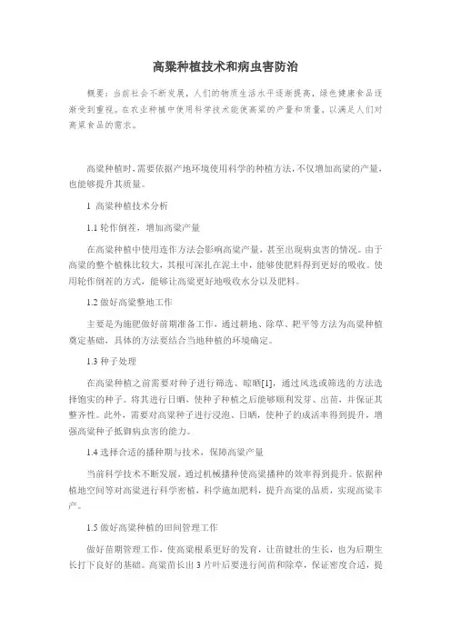 高粱种植技术和病虫害防治