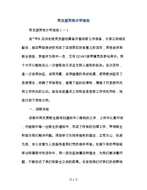 党支部党性分析报告