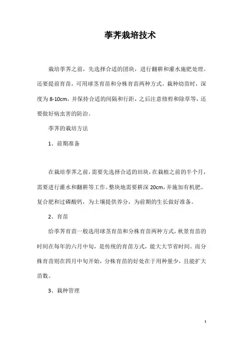 荸荠栽培技术