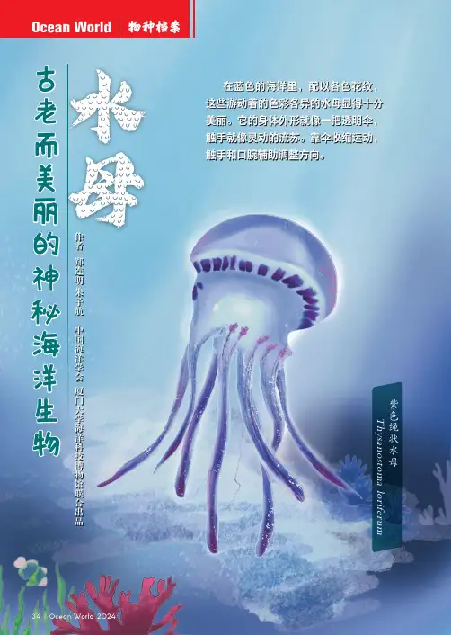 古老而美丽的神秘海洋生物——水母