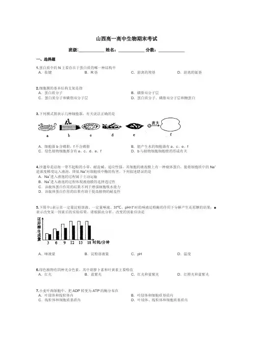 山西高一高中生物期末考试带答案解析
