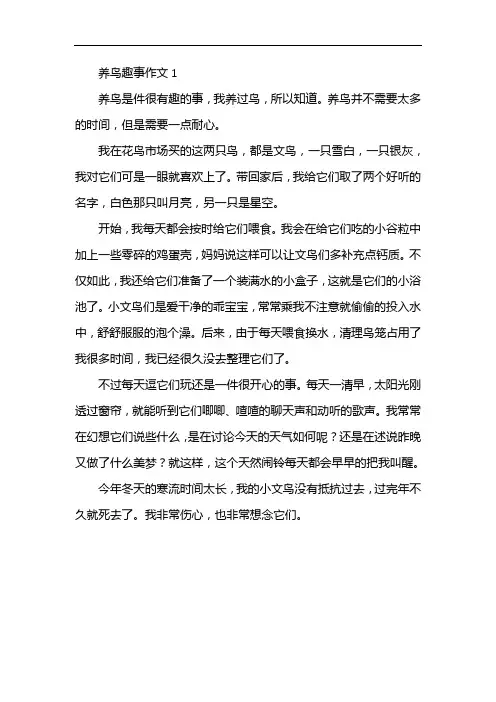 养鸟趣事作文