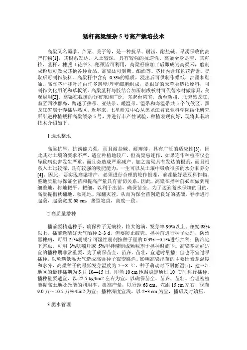 矮秆高粱绥杂5号高产栽培技术