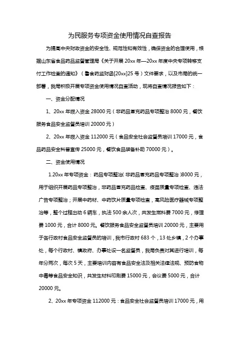 为民服务专项资金使用情况自查报告
