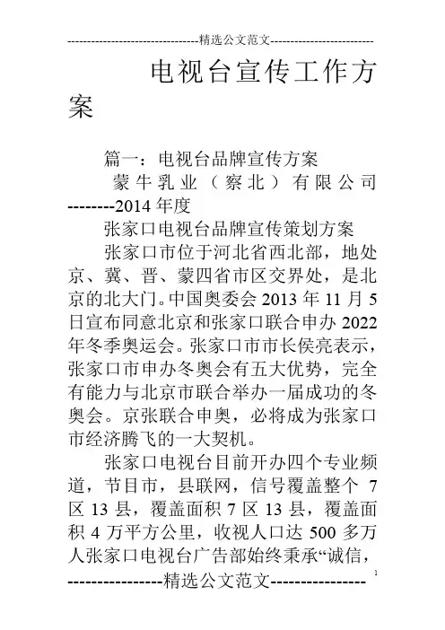 电视台宣传工作方案