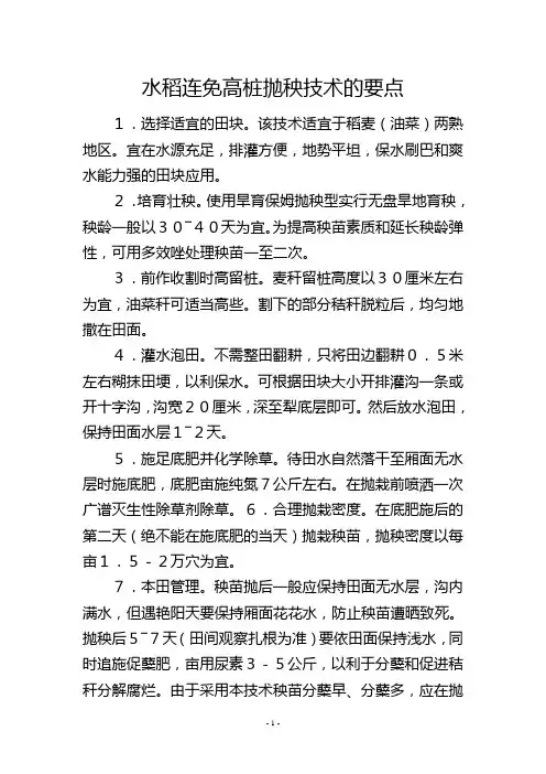 水稻连免高桩抛秧技术的要点