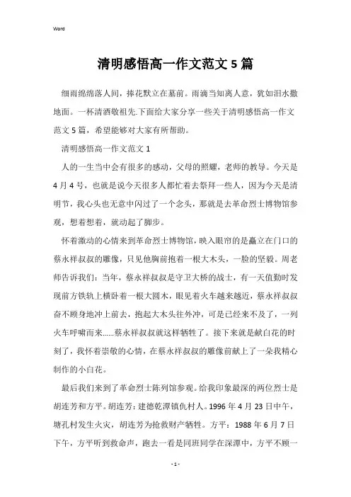 清明感悟高一作文范文5篇