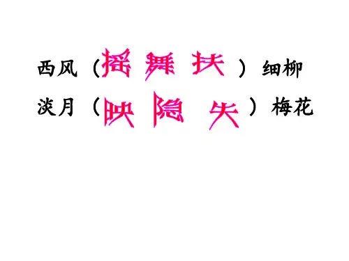 2020年高考语文复习课件：诗歌鉴赏炼字