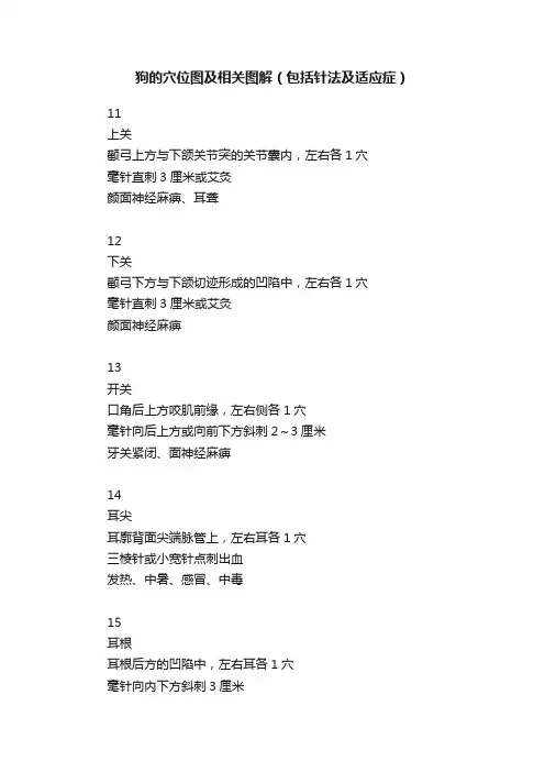 狗的穴位图及相关图解（包括针法及适应症）