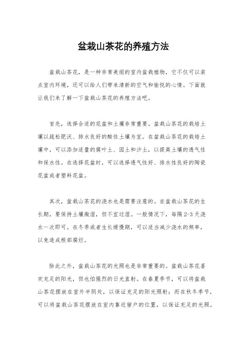 盆栽山茶花的养殖方法