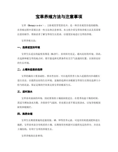 宝草养殖方法与注意事项