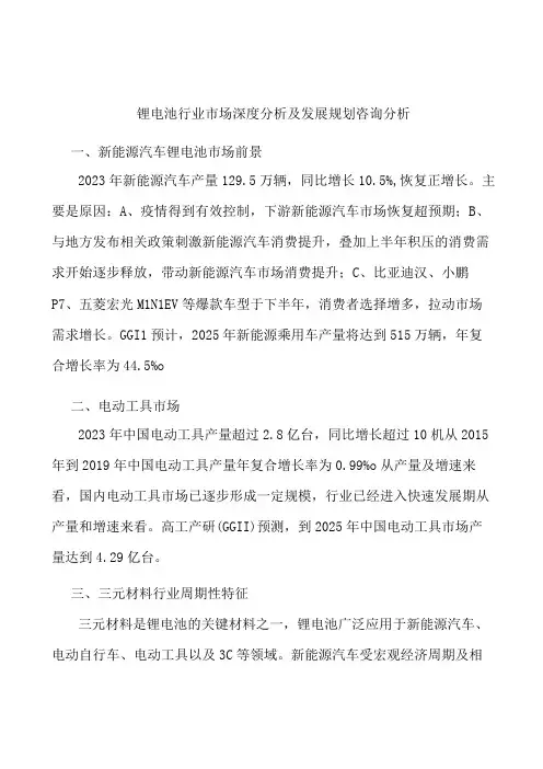 锂电池行业市场深度分析及发展规划咨询分析