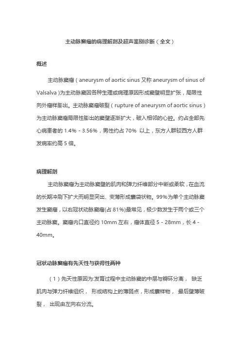 主动脉窦瘤的病理解剖及超声鉴别诊断(全文)