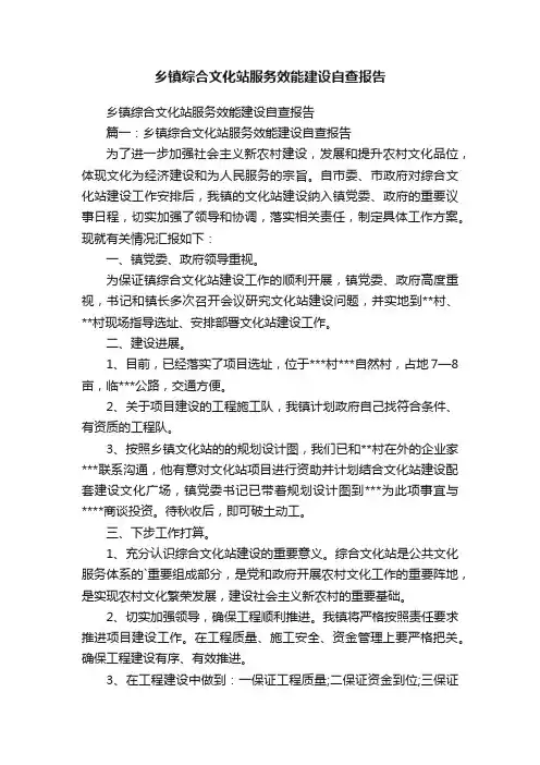 乡镇综合文化站服务效能建设自查报告