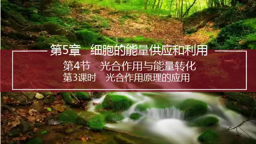 人教生物必修1PPT课件：5.4 第3课时 光合作用原理的应用