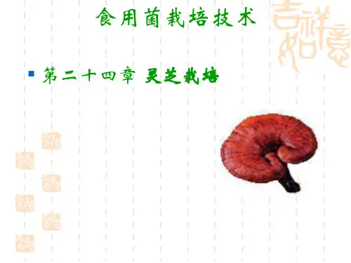 食用菌生产技术 灵芝栽培08PPT课件