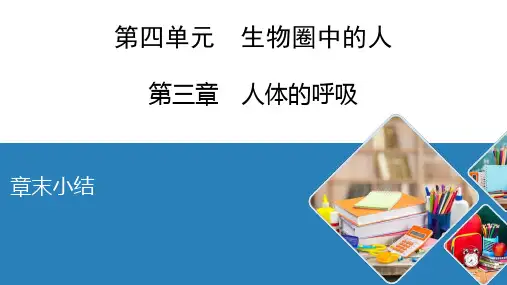 2020--2021学年人教版生物七年级下册第三章人的呼吸 章末小结课件