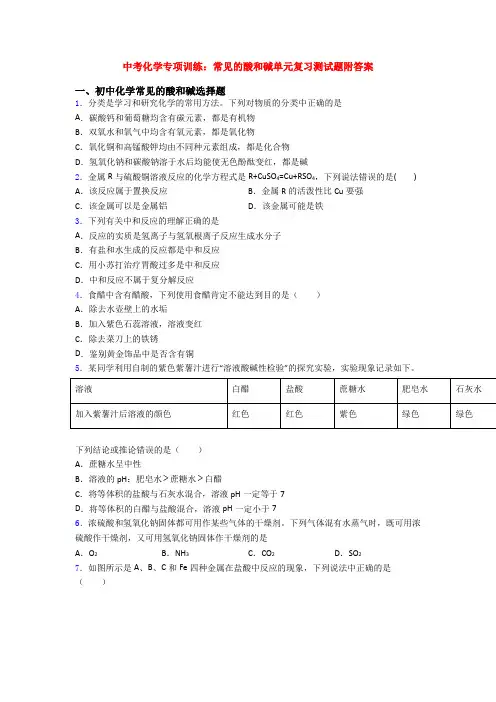 中考化学专项训练：常见的酸和碱单元复习测试题附答案