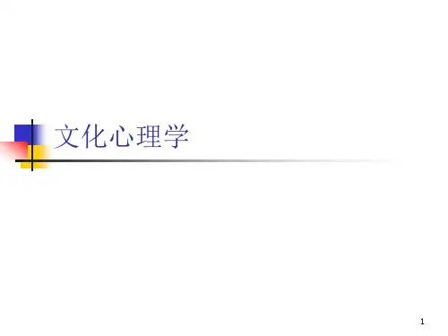 社会心理学PPT：文化心理学