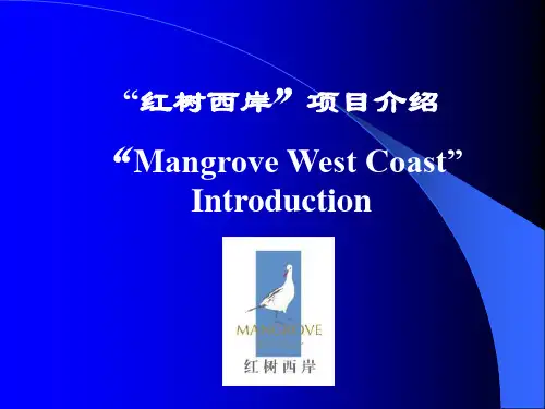 深圳红树西岸项目规划与细节设计37PY