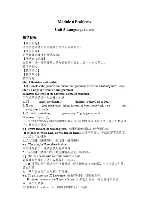 外研九上M6 Problems U3 教案