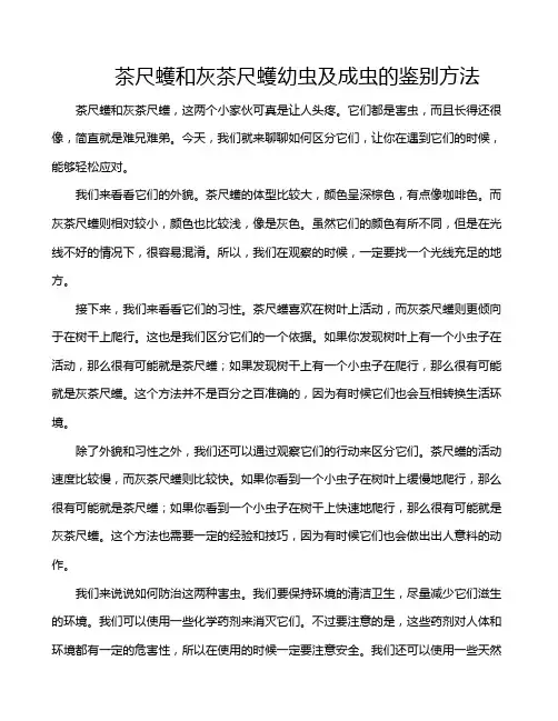 茶尺蠖和灰茶尺蠖幼虫及成虫的鉴别方法