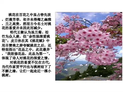 (新)人教版七年级语文下册第18课《一颗小桃树》优质课件(共33张PPT)