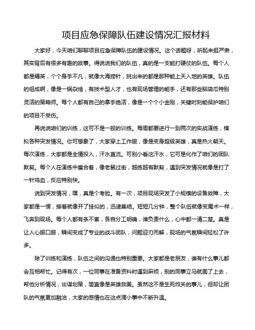 项目应急保障队伍建设情况汇报材料