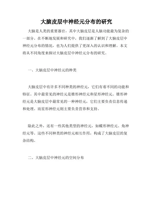 大脑皮层中神经元分布的研究