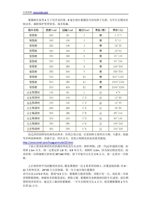 速生艳红紫薇苗
