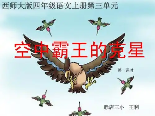 空中霸王的克星第一课时