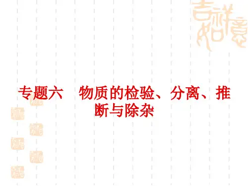 中考化学二轮专题复习6 物质的检验、分离、推断与除杂 