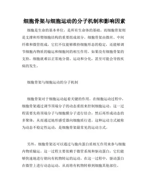 细胞骨架与细胞运动的分子机制和影响因素