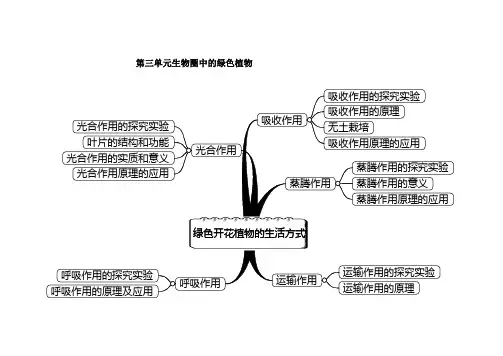 生物圈中的绿色植物  思维导图
