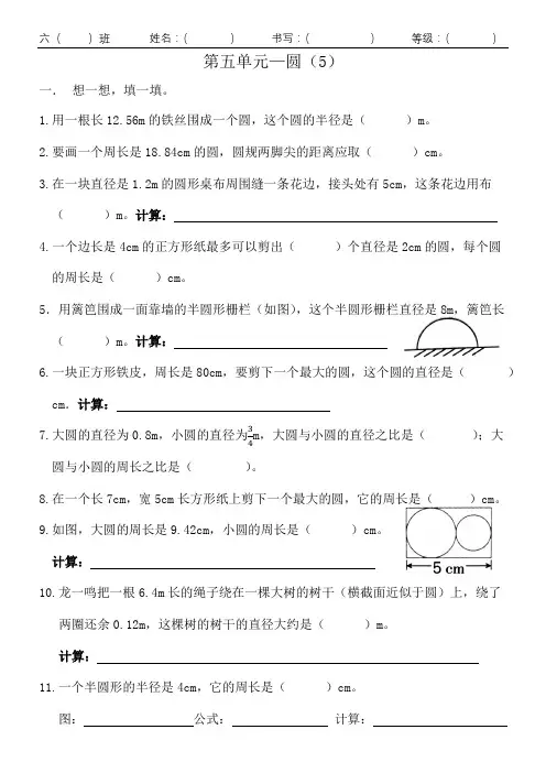 圆的周长(2)