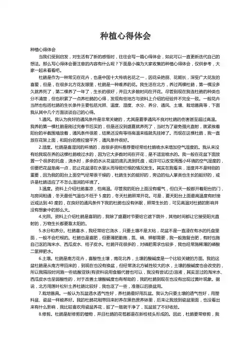 种植心得体会