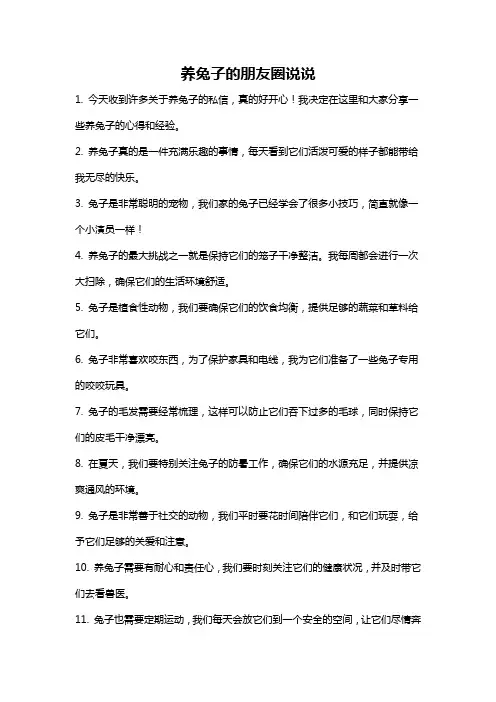 养兔子的朋友圈说说